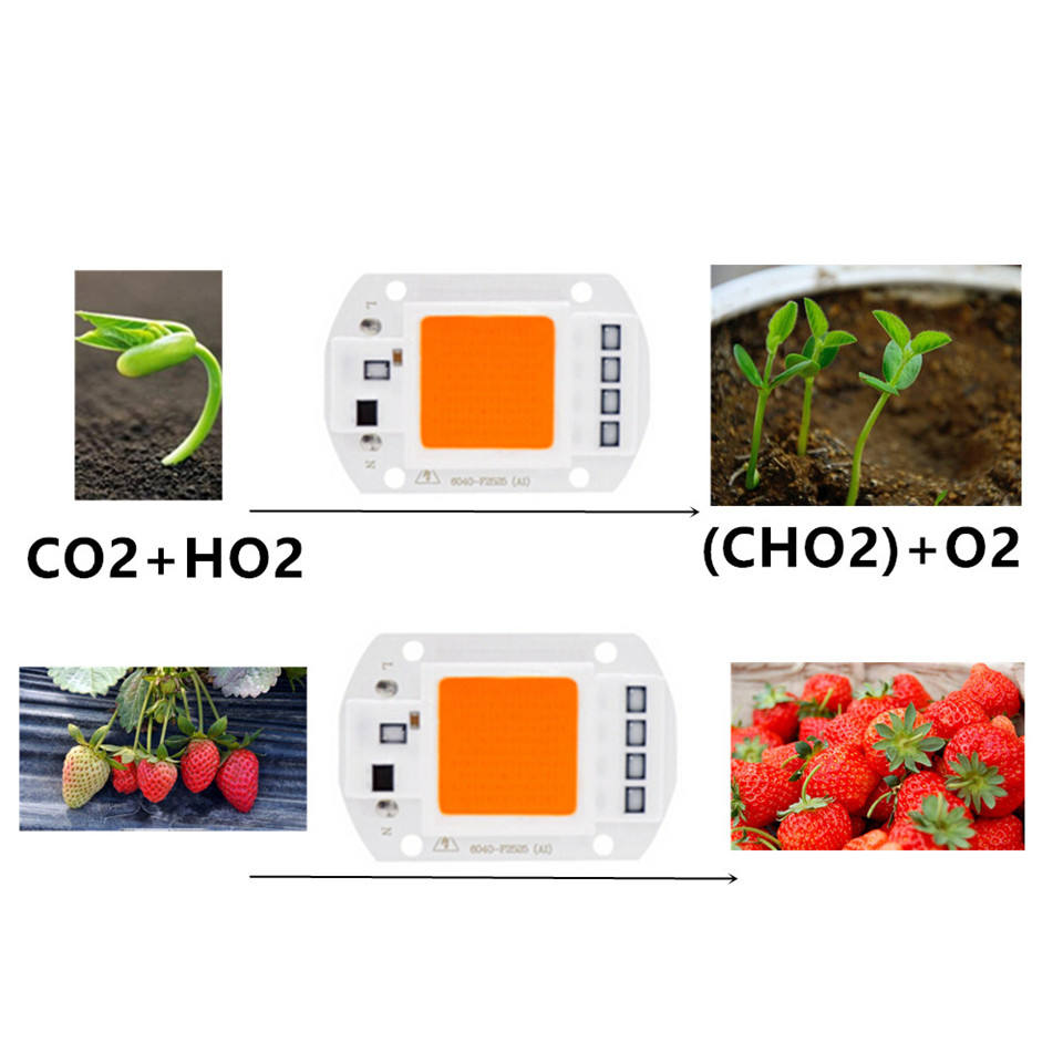 High Power Indoor led kweekchip 20W 30W 50W voor plantengroeiverlichting