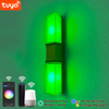 9W Tuya APP Controle Wandlamp led licht app controle app controle licht Gouden riem wandlamp Smart Wandlamp buitenverlichting