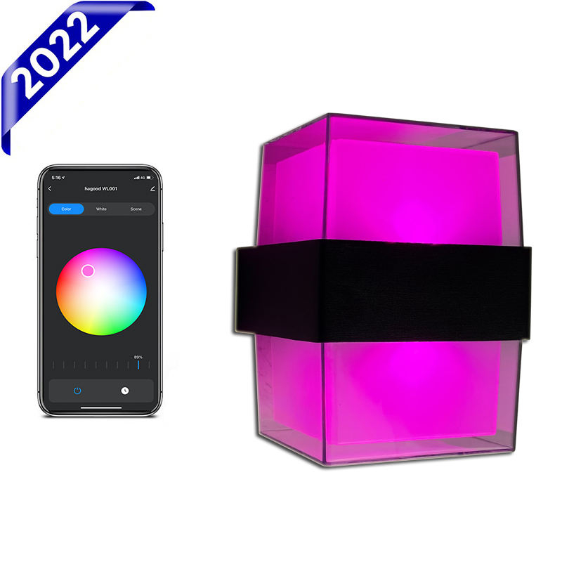2023 intelligente wandlamp LED intelligente wandlamp IP65 waterdichte kleurrijke modieuze decoratieve wandlamp Tuya