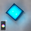 Transparante Shell 9W APP Verlichting Acryl Waterdichte IP65 LED Wandlamp voor Tuindecoratie met Fabrieksprijs Woonkamerverlichting