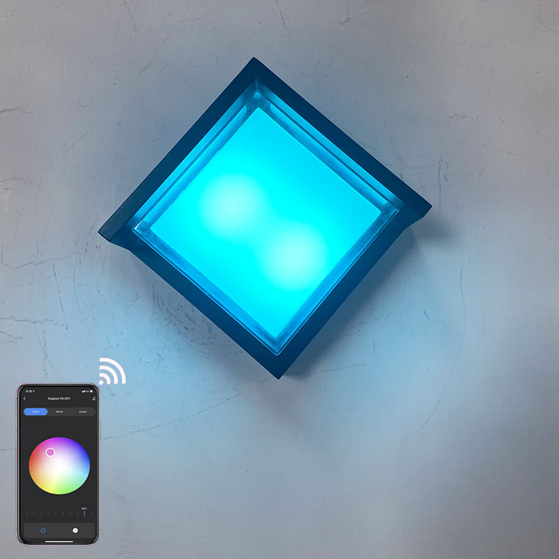 Transparante Shell 9W APP Verlichting Acryl Waterdichte IP65 LED Wandlamp voor Tuindecoratie met Fabrieksprijs Woonkamerverlichting