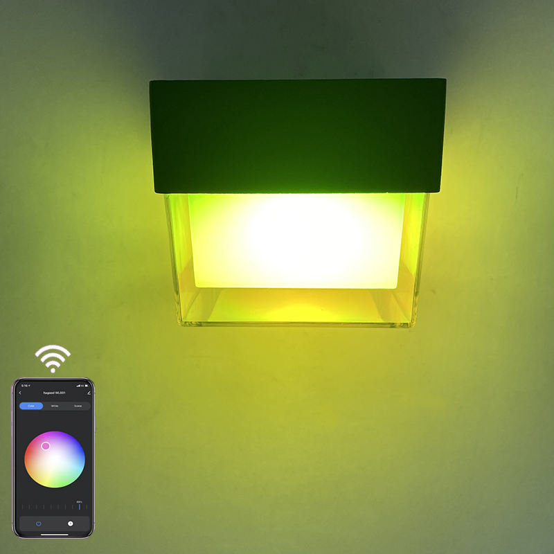 2023 Tuya APP Controle LED Intelligente Wandlamp IP65 Waterdichte Kleurrijke Modieuze Decoratieve Wandlamp