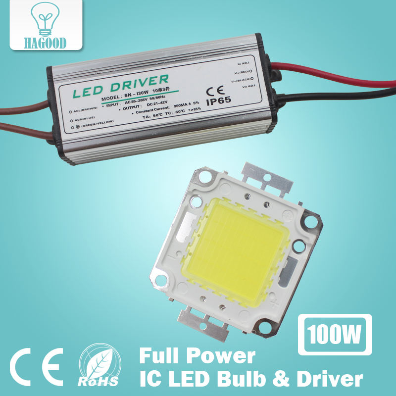 Real Full Watt 10W 20W 30W 50W 100w High Power COB LED lamp Chips Lamp met LED Driver Voor DIY Schijnwerper Spot light Gazon