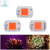 High Power Indoor led kweekchip 20W 30W 50W voor plantengroeiverlichting