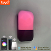 9W Tuya APP Controle Wandlamp Led Licht App Controle App Controle Licht App Gecontroleerde Led Verlichting Rainbow Bean Wandlamp Slimme Wandlamp