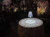 Tafellamp Modern Crystal LED Rose Lights Binnenverlichting voor Nachtkastje LED Touch Control Nachtlampje LED Bureaulamp