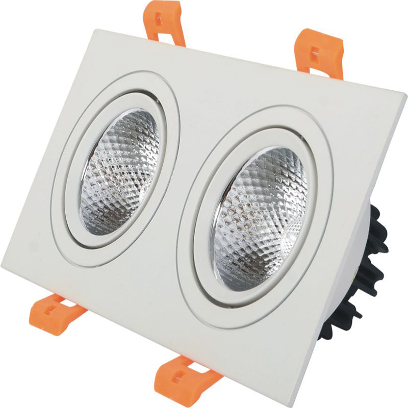 Van de dubbele hoofden leidde Downlight van de LEIDENE Plafondspot Licht Ingebedde Downlight 10W 14W 20W 24W Downlight
