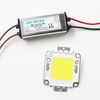 Real Full Watt 10W 20W 30W 50W 100w High Power COB LED lamp Chips Lamp met LED Driver Voor DIY Schijnwerper Spot light Gazon