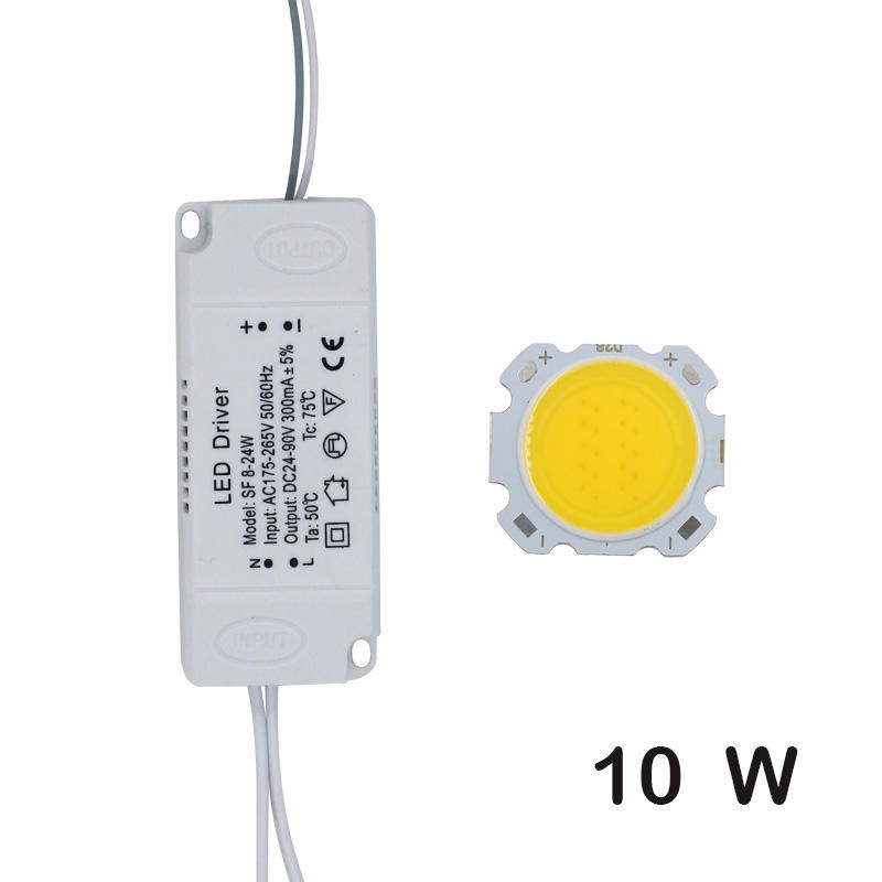 LED COB Lamp Kraal 10W-30W Lichtbron Chip + LED Driver Voeding Adapter Koud/Warm/natuurlijk Wit voor diy LED Spot light