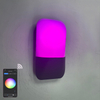 9W Tuya APP Controle Wandlamp Led Licht App Controle App Controle Licht App Gecontroleerde Led Verlichting Rainbow Bean Wandlamp Slimme Wandlamp