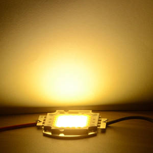 Real Full Watt 10W 20W 30W 50W 100w High Power COB LED lamp Chips Lamp met LED Driver Voor DIY Schijnwerper Spot light Gazon