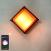 APP-gestuurde lamp Tuya APP Hoge kwaliteit buitenblaker Wifi Waterdichte vierkante wandlamp Kleurverandering door slimme app-lamp