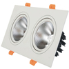 Van de dubbele hoofden leidde Downlight van de LEIDENE Plafondspot Licht Ingebedde Downlight 10W 14W 20W 24W Downlight