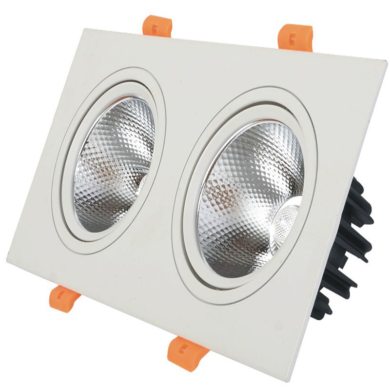 Van de dubbele hoofden leidde Downlight van de LEIDENE Plafondspot Licht Ingebedde Downlight 10W 14W 20W 24W Downlight