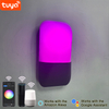 9W Tuya APP Controle Wandlamp Led Licht App Controle App Controle Licht App Gecontroleerde Led Verlichting Rainbow Bean Wandlamp Slimme Wandlamp