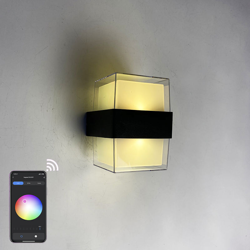 outdoor led wall IP65 Tuya graffiti smart APP controle kleurrijk dimmen waterdichte outdoor wandlamp modern licht buiten
