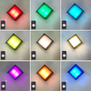 Transparante Shell 9W APP Verlichting Acryl Waterdichte IP65 LED Wandlamp voor Tuindecoratie met Fabrieksprijs Woonkamerverlichting