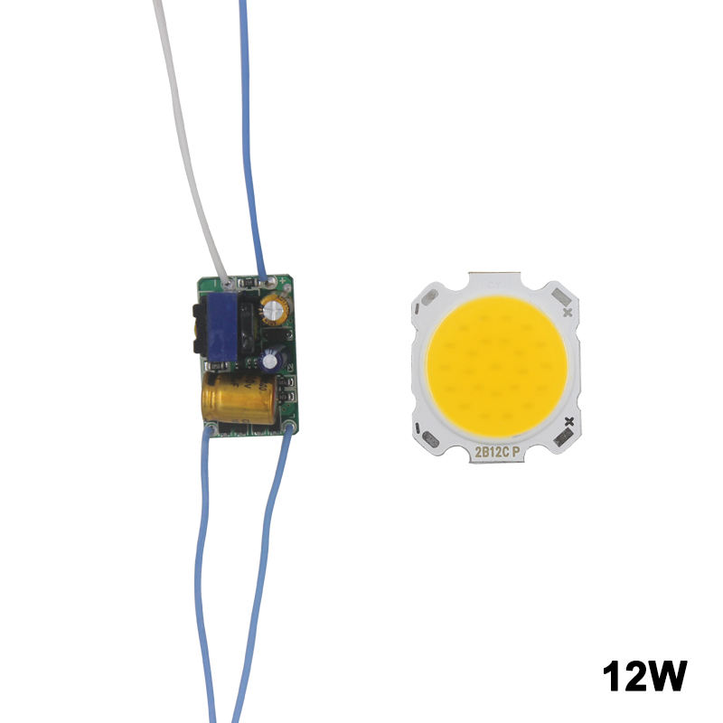 LED COB Lamp Kraal 10W-30W Lichtbron Chip Koud/Warm Schakelaar Conversie met Segment controle Power Adapter DIY Driver