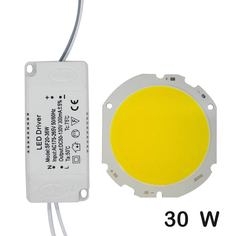 LED COB Lamp Kraal 10W-30W Lichtbron Chip + LED Driver Voeding Adapter Koud/Warm/natuurlijk Wit voor diy LED Spot light