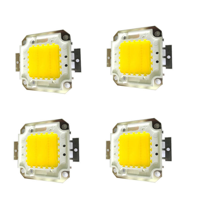 Real Full Watt 10W 20W 30W 50W 100w High Power COB LED lamp Chips Lamp met LED Driver Voor DIY Schijnwerper Spot light Gazon