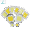 Super 10W 20W 30W 50W 100W LED Geïntegreerde High power LED lamp Wit/Warm wit EPISTAR COB Chips led lampen
