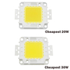 Super 10W 20W 30W 50W 100W LED Geïntegreerde High power LED lamp Wit/Warm wit EPISTAR COB Chips led lampen
