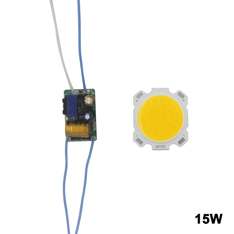 LED COB Lamp Kraal 10W-30W Lichtbron Chip Koud/Warm Schakelaar Conversie met Segment controle Power Adapter DIY Driver