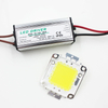 Real Full Watt 10W 20W 30W 50W 100w High Power COB LED lamp Chips Lamp met LED Driver Voor DIY Schijnwerper Spot light Gazon