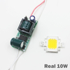 Real Full Watt 10W 20W 30W 50W 100w High Power COB LED lamp Chips Lamp met LED Driver Voor DIY Schijnwerper Spot light Gazon