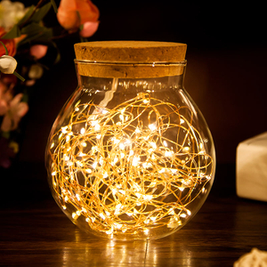 Factory Direct Sell led string light guirlande lampen voor huisdecoratie