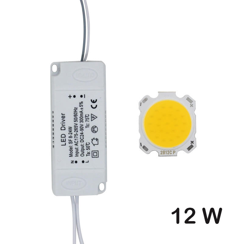 LED COB Lamp Kraal 10W-30W Lichtbron Chip + LED Driver Voeding Adapter Koud/Warm/natuurlijk Wit voor diy LED Spot light