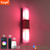 9W Tuya APP Controle Wandlamp led licht app controle app controle licht Gouden riem wandlamp Smart Wandlamp buitenverlichting
