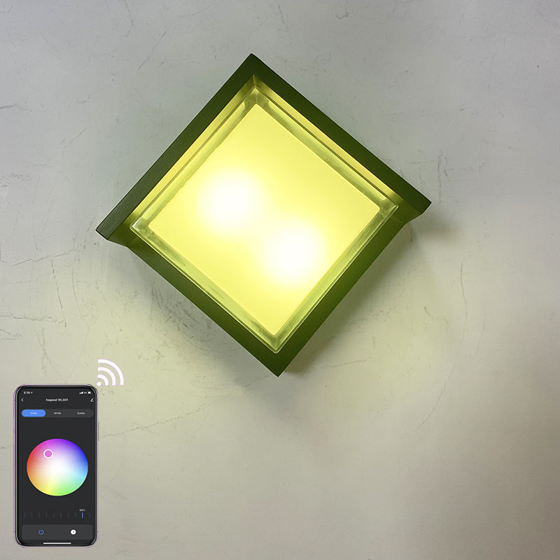 Transparante Shell 9W APP Verlichting Acryl Waterdichte IP65 LED Wandlamp voor Tuindecoratie met Fabrieksprijs Woonkamerverlichting