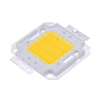 Real Full Watt 10W 20W 30W 50W 100w High Power COB LED lamp Chips Lamp met LED Driver Voor DIY Schijnwerper Spot light Gazon