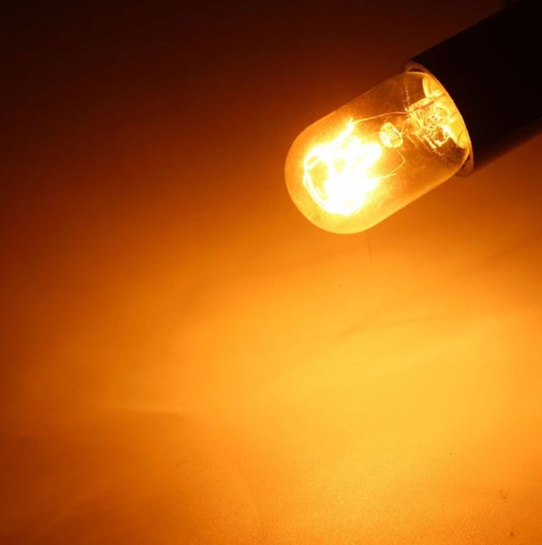 AC220 230V Edison Lamp E14 SES 15W 25W Koelkast Koelkast Gloeilamp Wolfraam Gloeilamp Lampen Warm wit Plafond Spotlight