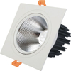Van de dubbele hoofden leidde Downlight van de LEIDENE Plafondspot Licht Ingebedde Downlight 10W 14W 20W 24W Downlight