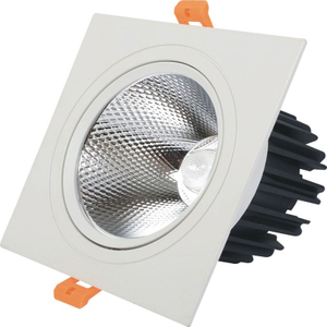 Van de dubbele hoofden leidde Downlight van de LEIDENE Plafondspot Licht Ingebedde Downlight 10W 14W 20W 24W Downlight