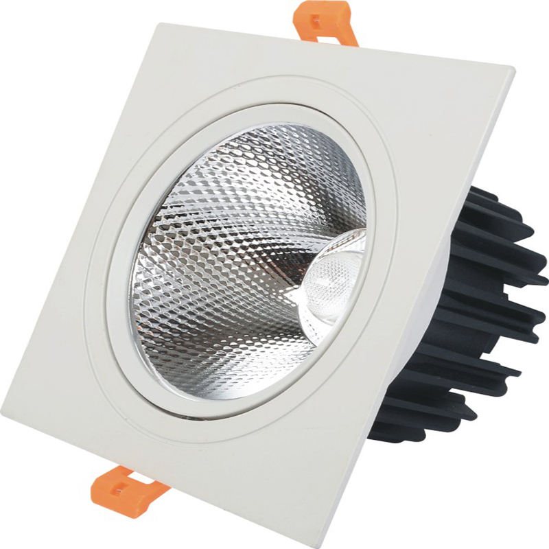 Van de dubbele hoofden leidde Downlight van de LEIDENE Plafondspot Licht Ingebedde Downlight 10W 14W 20W 24W Downlight