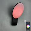 9W slimme wandlamp intelligente lampen led licht app controle led licht app controle app gecontroleerde verlichting Tuya App Buiten wandlamp mobiele telefoon afstandsbediening wandlamp