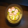 Handgemaakte Tulp Nachtlampje Warmtekrimpbare Film DIY Materiaal Kunstbloem Tulp Nachtlampje Home Decor Cadeau voor Gitlfriend