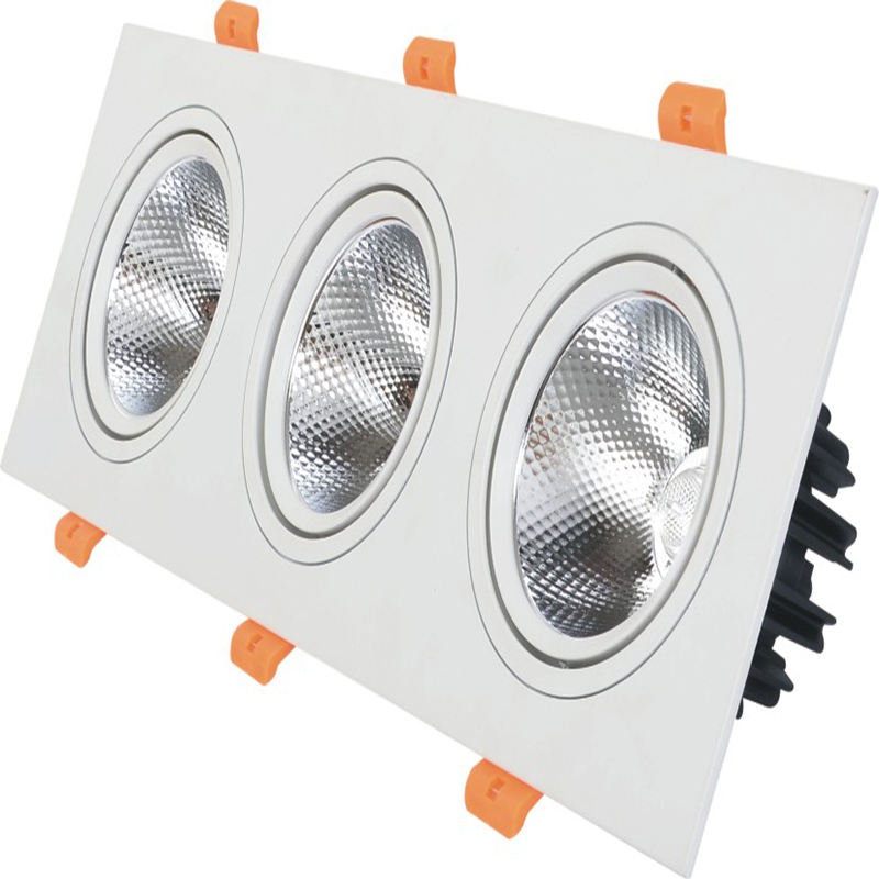Van de dubbele hoofden leidde Downlight van de LEIDENE Plafondspot Licht Ingebedde Downlight 10W 14W 20W 24W Downlight