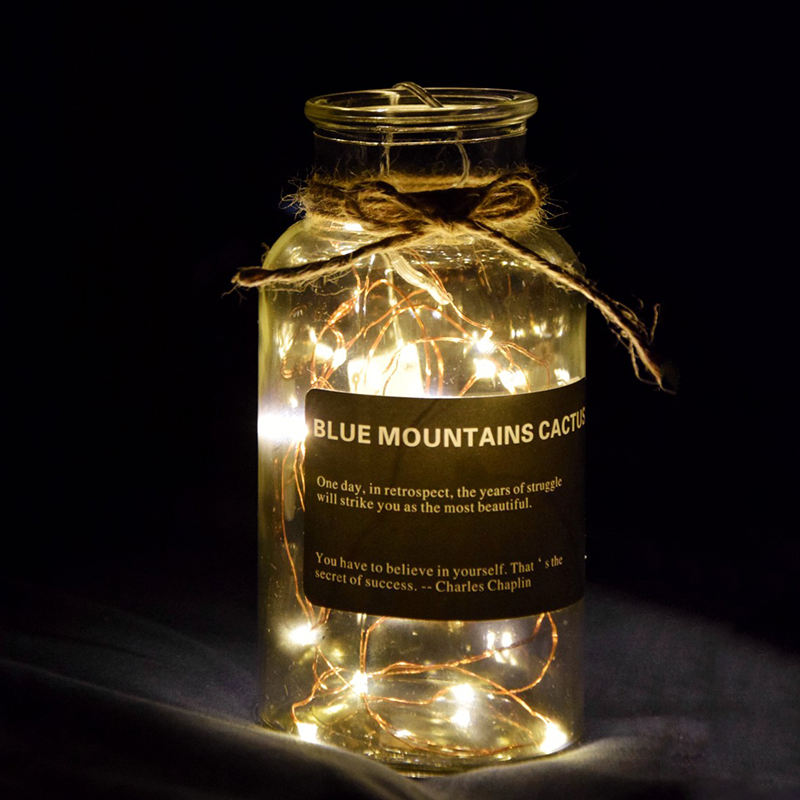 Factory Direct Sell led string light guirlande lampen voor huisdecoratie