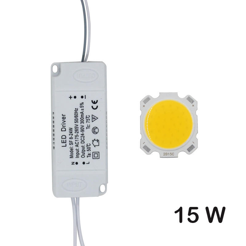 LED COB Lamp Kraal 10W-30W Lichtbron Chip + LED Driver Voeding Adapter Koud/Warm/natuurlijk Wit voor diy LED Spot light