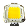 Real Full Watt 10W 20W 30W 50W 100w High Power COB LED lamp Chips Lamp met LED Driver Voor DIY Schijnwerper Spot light Gazon