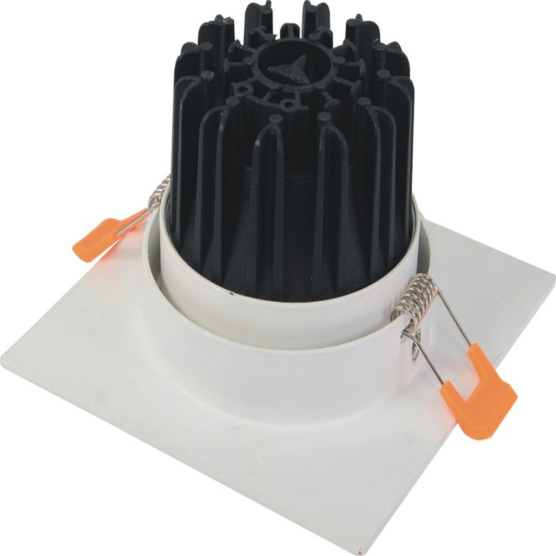 Van de dubbele hoofden leidde Downlight van de LEIDENE Plafondspot Licht Ingebedde Downlight 10W 14W 20W 24W Downlight