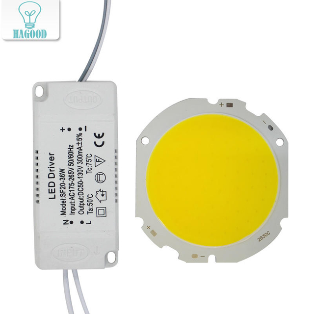 LED COB Lamp Kraal 10W-30W Lichtbron Chip + LED Driver Voeding Adapter Koud/Warm/natuurlijk Wit voor diy LED Spot light
